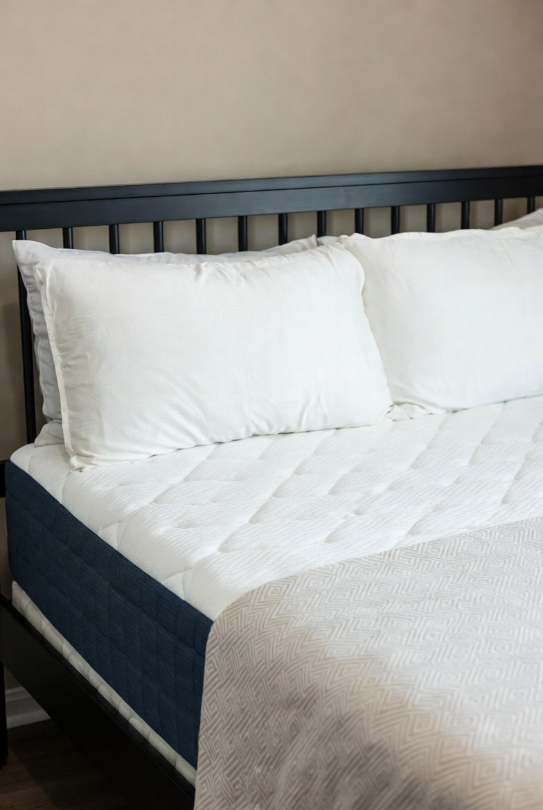 download 2026 01 24t074252.794